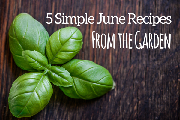 June Recipes