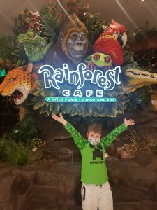 Rainforest Cafe entrance at Mall of America